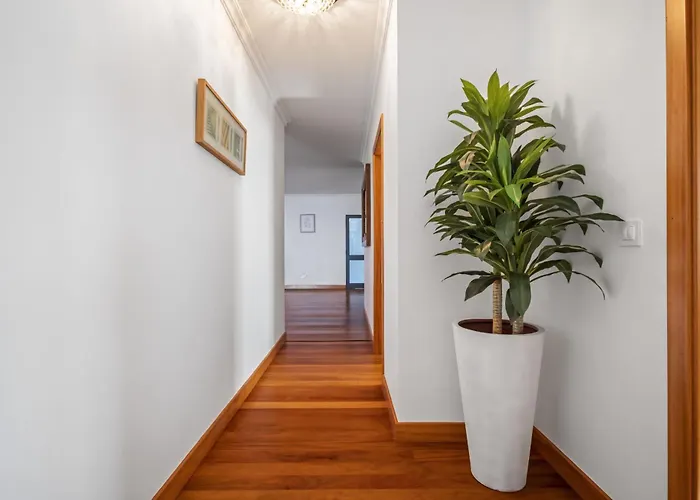 Willa Faias Haven By Homie *